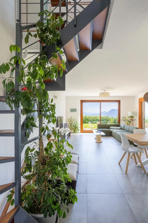Open-tread steel staircase with a climbing plant, looking through to the living area